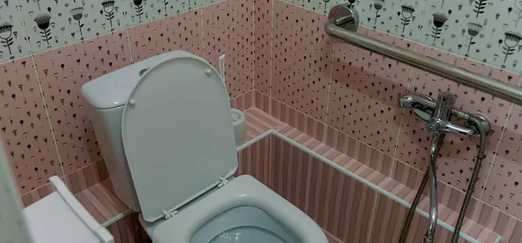 Meeting Diverse Needs With Accessible Restroom Solutions in American Canyon, CA